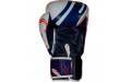 Боксерские перчатки Twins Special FBGVL4-67 Yant 16 oz