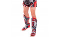 Защита голени Twins Special FSGL10-55 Demon M