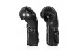 Боксерские перчатки Fairtex BGV9C-PLUS black 14 oz