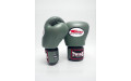 Боксерские перчатки Twins Special BGVL3 Olive 12 oz
