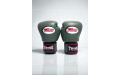 Боксерские перчатки Twins Special BGVL3 Olive 12 oz