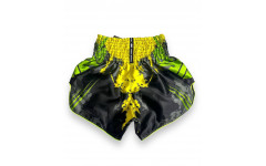 Шорты для бокса Twins Special TBS Candy green XL