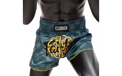 Шорты для бокса Fairtex BS1915 S