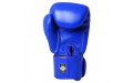 Боксерские перчатки Twins Special BGVL3 blue 10 oz