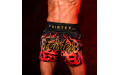Шорты для бокса Fairtex BS1921 Volcano S
