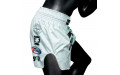 Шорты для бокса Fairtex BS1923 Racer white M
